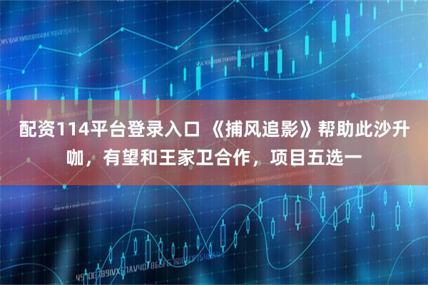 配资114平台登录入口 《捕风追影》帮助此沙升咖，有望和王家卫合作，项目五选一