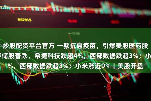 炒股配资平台官方 一款抗癌疫苗，引爆美股医药股，龙头暴涨126%；存储股普跌，希捷科技跌超4%，西部数据跌超3%；小米涨近9%｜美股开盘